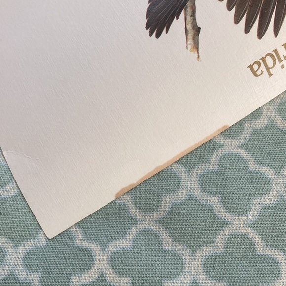 Postal Commemorative Society Florida State Bird Print  & Stamp - Picture 8 of 9